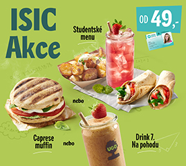 117. ALL ISIC new web Galerie 269x240px