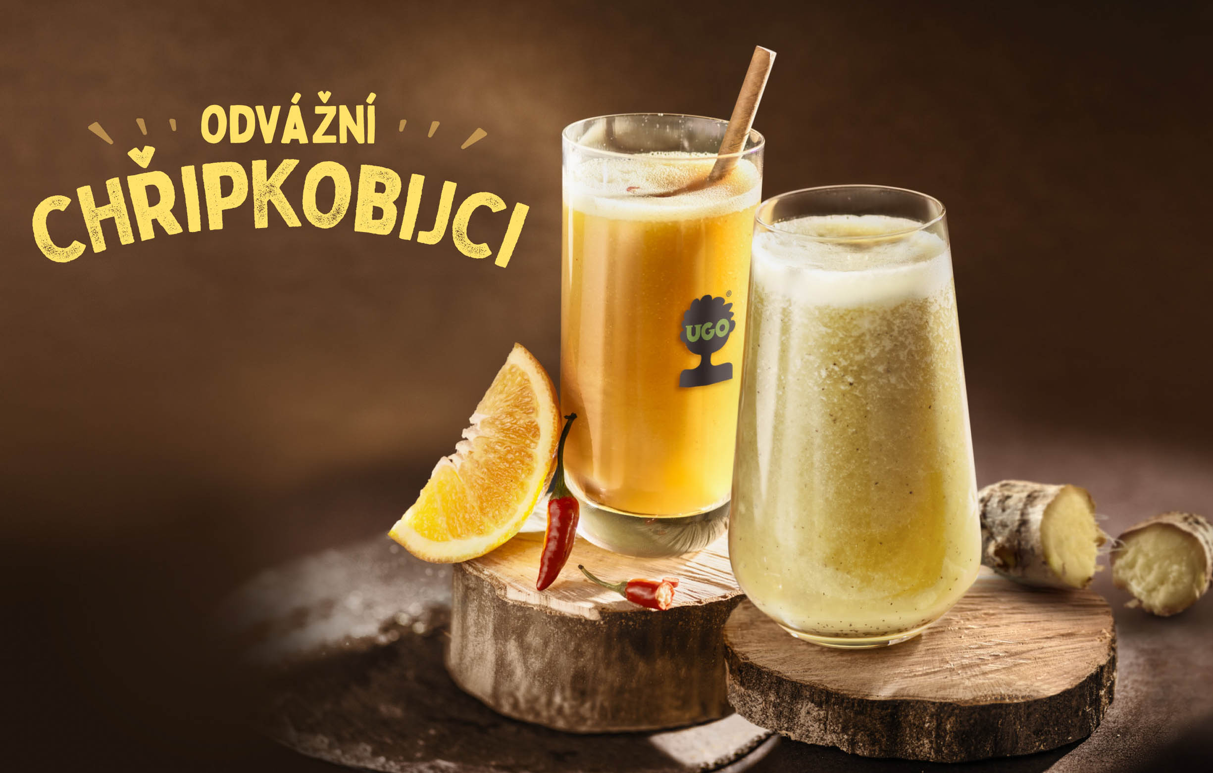 Odv&aacute;žn&iacute; Chřipkobijci