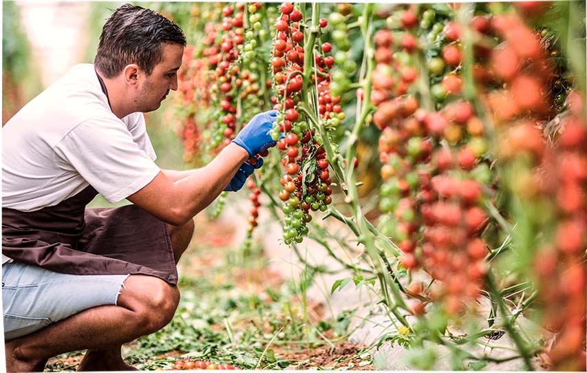 Pochutnej si lokálně