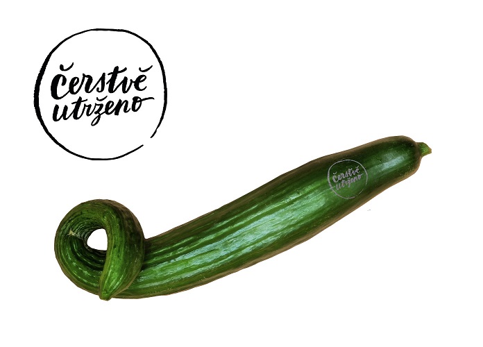 Organic ugly cucumber on orange background. Image with copy space, top view.